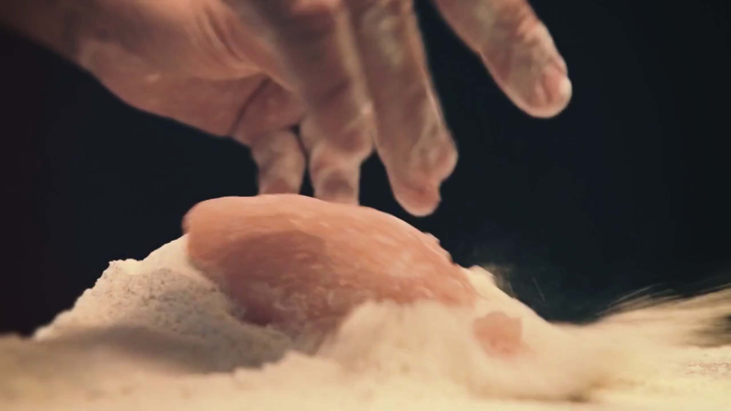 Lidl tips – Breaded Chicken